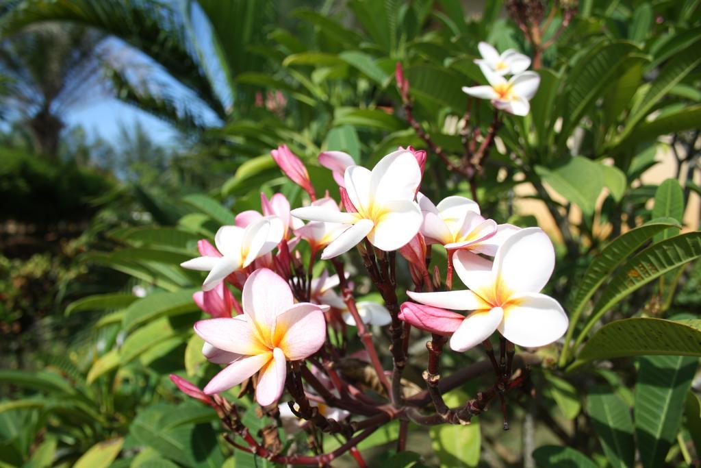 Ao Thai Resort Sathing Phra Екстер'єр фото