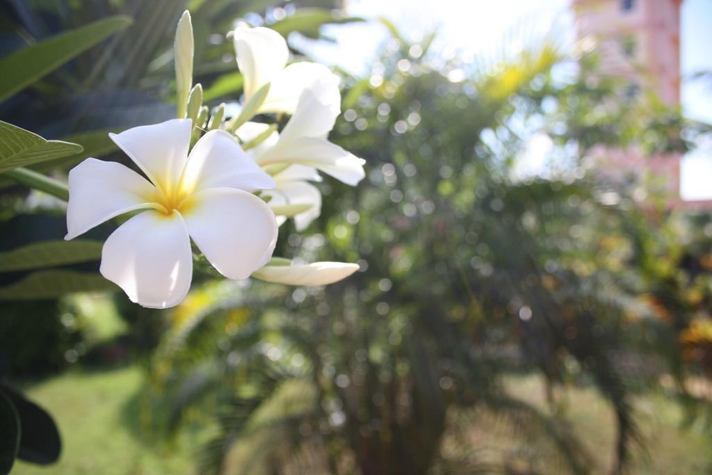 Ao Thai Resort Sathing Phra Екстер'єр фото