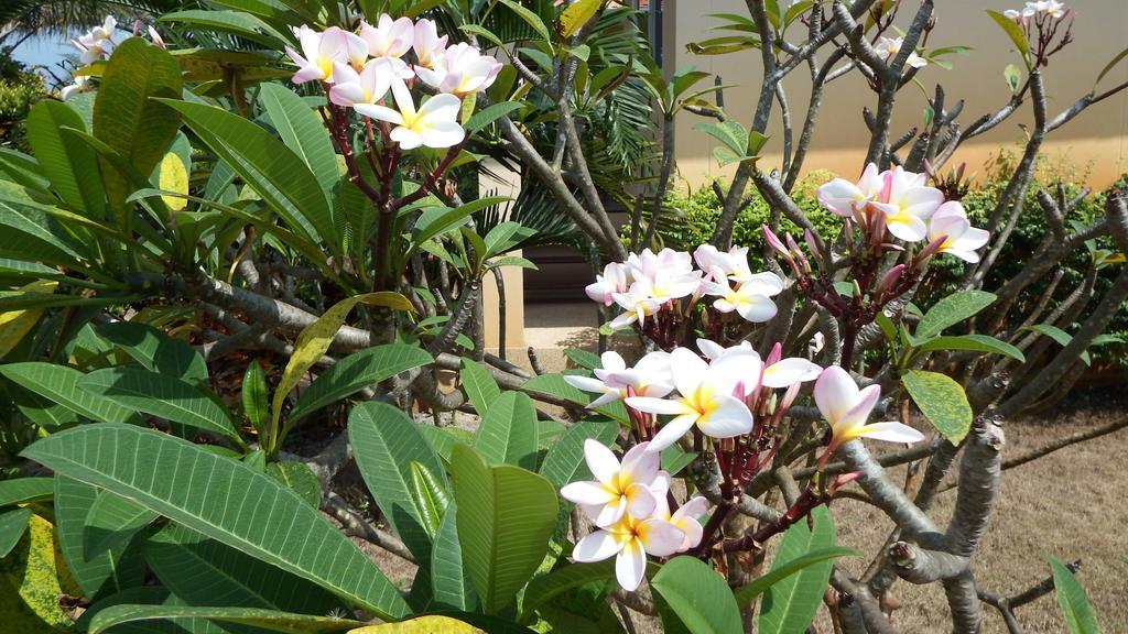 Ao Thai Resort Sathing Phra Екстер'єр фото